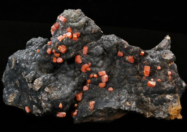 Vanadinite Crystals on Manganese Oxide - Morocco #38516